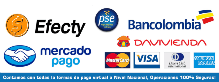 Medios de Pago Webggio